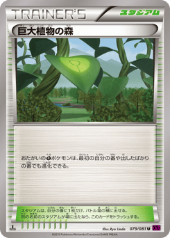 Forest of Giant Plants — Bandit Ring
