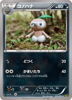 Nuzleaf XY9 053