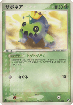 Cacnea #006 — Miracle of the Desert