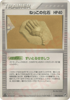 Root Fossil — Miracle of the Desert