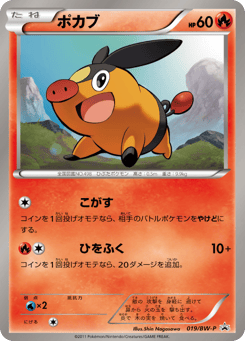 Tepig BWP 019