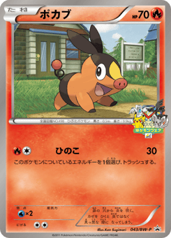 Tepig BWP 043