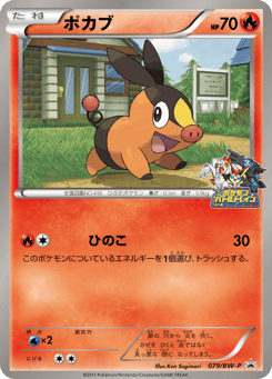 Tepig — Black & White Promos