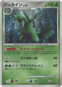 Sceptile #005 — Intense Fight in the Destroyed Sky