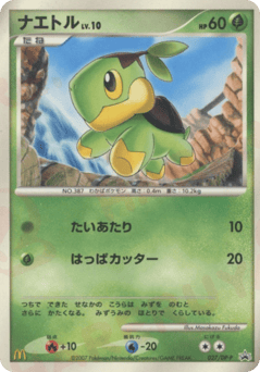 Turtwig DPP 027