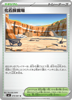 Fossil Excavation Site M5 079