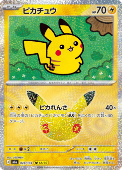 Pikachu M6A 028