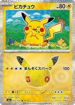 Pikachu M6A 044
