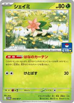 Shaymin PROMO 095