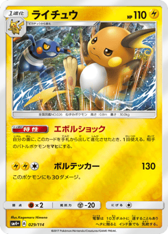 Raichu SM4PLUS 029