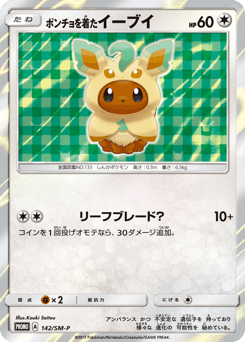 Poncho-wearing Eevee SMP 142