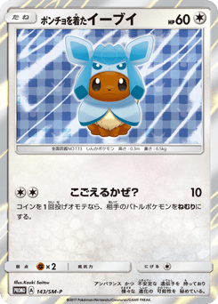 Poncho-wearing Eevee SMP 143