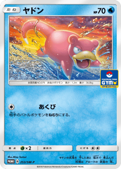 Slowpoke SMP 253