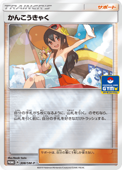 Sightseer SMP 308