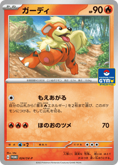 Growlithe PROMO 024