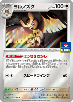 Noctowl PROMO 173
