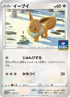 Eevee PROMO 220