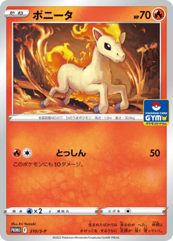 Ponyta PROMO 310