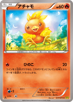 Torchic XY5 017