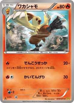 Combusken XY5 019