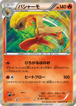 Blaziken XY5 020