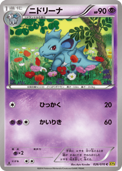 Nidorina XY5 026