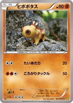 Hippopotas XY5 041