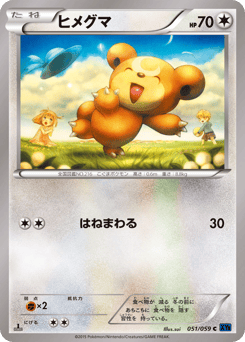 Teddiursa XY8 051