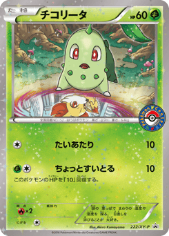 Chikorita XYP 222