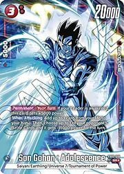 Son Gohan : Adolescence FB02 018a