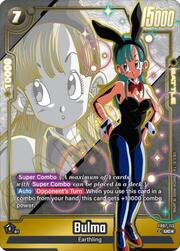 Bulma FB07 113a