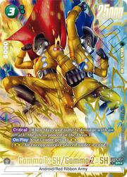 Gamma 1 : SH/Gamma 2 : SH — Dual Evolution