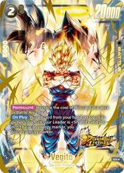 Vegito FS09 16a