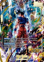 Son Goku FS09 07a