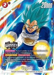 Tournament Winner