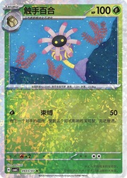 Sparkle Reverse