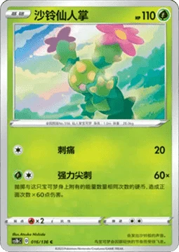 Maractus CS1B 016