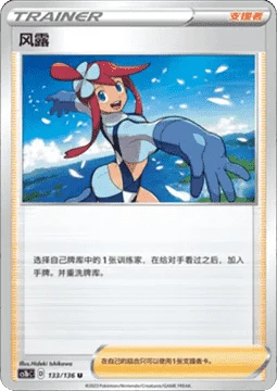 Skyla CS1B 133