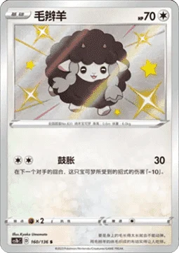 Wooloo CS1B 160