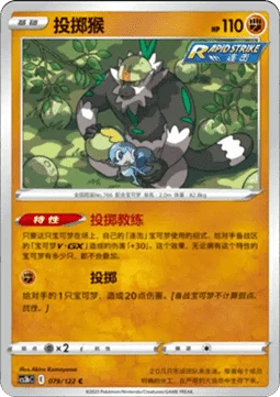 Passimian CS3B 079