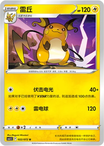 Raichu CS65 022