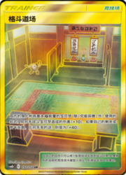 Martial Arts Dojo — Shining Synergy (Supreme)