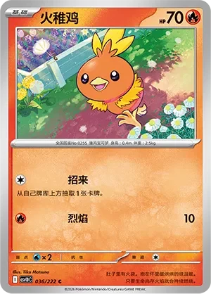 Torchic CSV10 036
