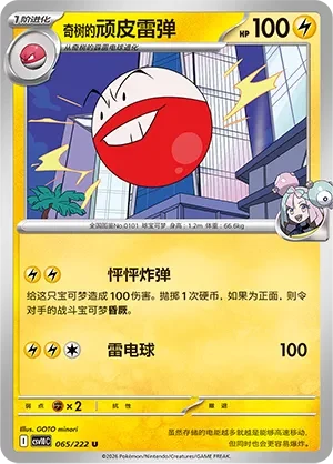 Iono's Electrode CSV10 065