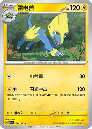 Manectric CSV10 074
