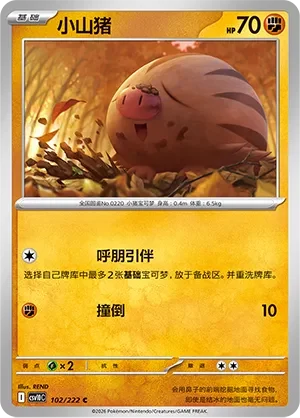 Swinub CSV10 102