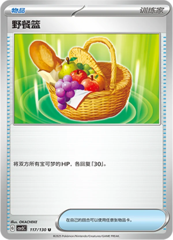Picnic Basket CSV3 117