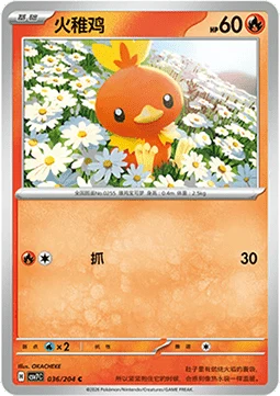 Torchic CSV7 036