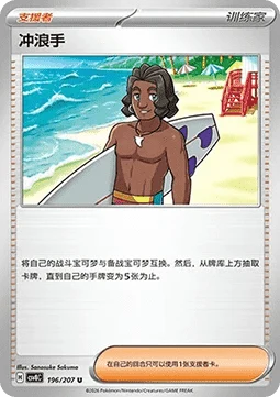 Surfer CSV8 196