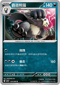 Pangoro CSV9 120